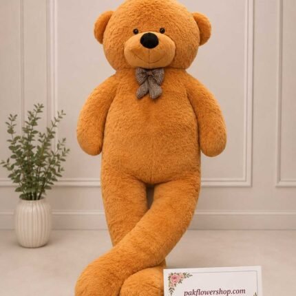 Large Teddy Bear Pakistan Soft Plush Gift