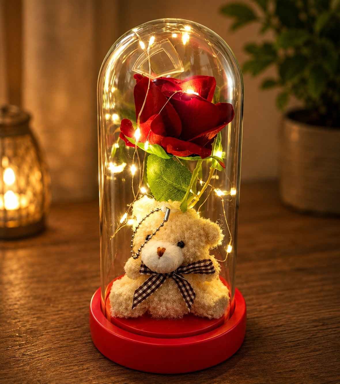Teddy Bear Gift Lahore with Red Rose and Fairy Lights